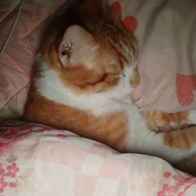 eugenioooさんのプロフィール画像