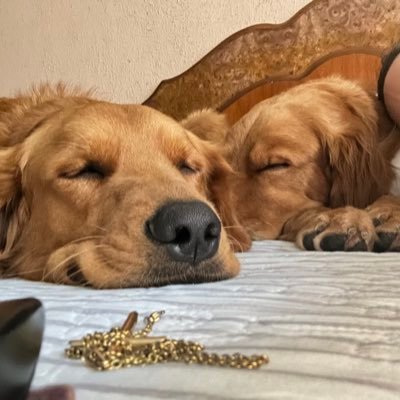 esperanzagalih's profile picture. Minoría Ruidosa