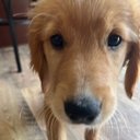 May Bruning - @Limesareupmyass - Twitter