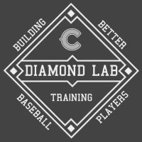 Diamond Lab Baseball (@diamondlabnz) 's Twitter Profile