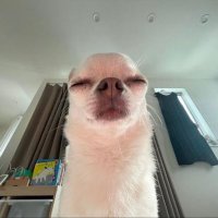 녀냠 (@ee_qq0) 's Twitter Profile