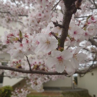日々、くだらないことを呟くかもしれません。
ちなみに、『かにぱん』と『チョコ』が好きです。
そして、居なくなります。