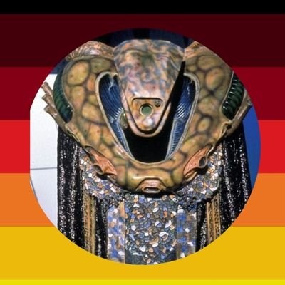 KoshDavis's profile picture. 