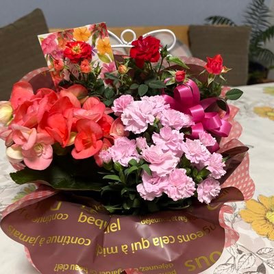 kumi_true's profile picture. 韓国語勉強中|お花が好き|自然が好き|ウォーキング|信教の自由|世界平和|プリザーブドフラワー|DMはしません