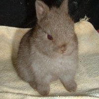 ✧ mae ꩜ (@warmingspice) 's Twitter Profile