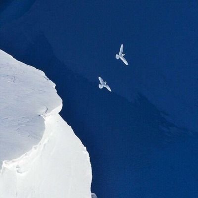 drexeltl73345's profile picture. 