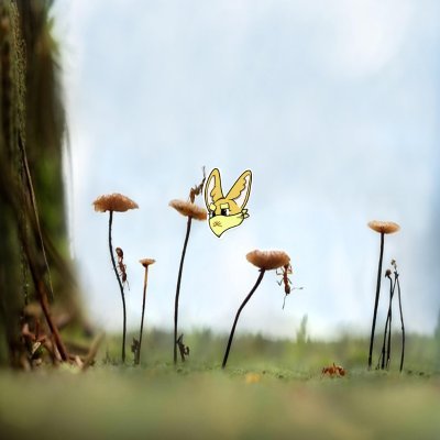 bayuindrautomo1's profile picture. Shining like a crystal Building @SaharaLabsAI| Sahara #0107511