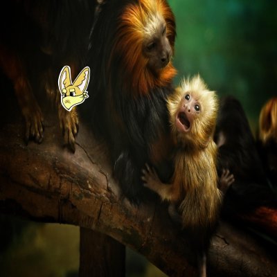 BUWFC_13's profile picture. 