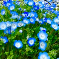 とみい あい_Ai.Tommy (@ai_tomi_i) 's Twitter Profile