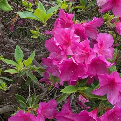 ugug23's profile picture. 今年かられいわ新選組
オーナーズです。よろしくお願いします。護憲。無言フォロー失礼致します。