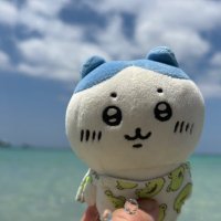 もちちい (@mochimochi_chii) 's Twitter Profile