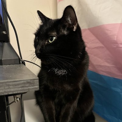 internet woman | she/her | 23 | priv: @ChuddySoSlay | https://t.co/hNbndK7D98 | banner by: @MoMoBitez |