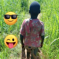 Mr. LandLord (@mrlandlords) 's Twitter Profile