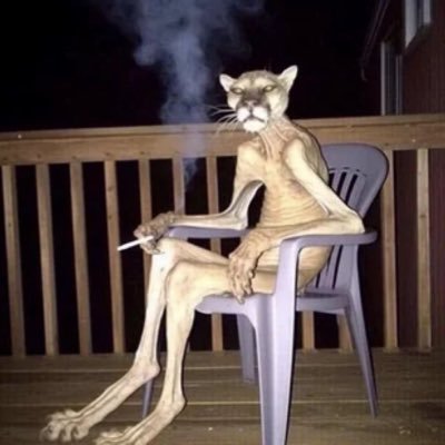 peix Profile
