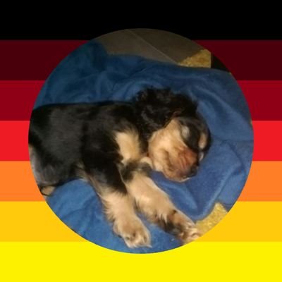 Doep94's profile picture. Vor 2021 politisch neutral.

Ostpreußische und Friesische Wurzeln, aufgewachsen in Niedersachsen.

8 Jahre im Ausland gearbeitet danach wieder zurück.