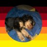 Doep94's profile picture. Vor 2021 politisch neutral.

Ostpreußische und Friesische Wurzeln, aufgewachsen in Niedersachsen.

8 Jahre im Ausland gearbeitet danach wieder zurück.