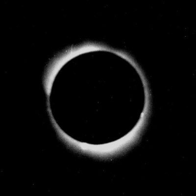 porpurx's profile picture. 