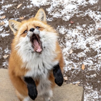 Cristian277373's profile picture. 