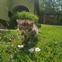 Babblbass (@bibblebuz) 's Twitter Profile