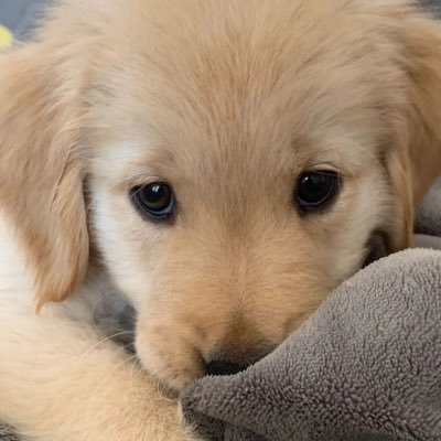 BONUS54061087's profile picture. 