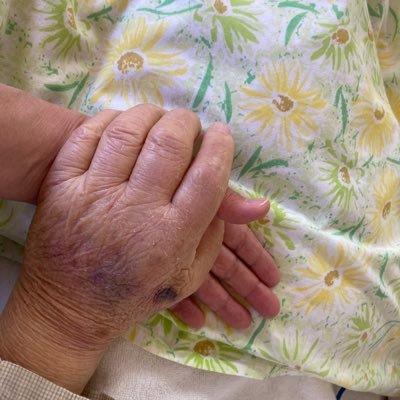 rRz96u0uTX87287's profile picture. 家庭連合信仰一世🪯毎日が忙しいあら還お母さんです。一男三女孫1人家族の絆を作る為に日夜自分磨き修行中🧘‍♀️ あ、夫もいますよ！笑💓ワクワクセミナーで人生が好転 、固定観念を手放す実践で小さなでも大切な願いが叶いはじめる🏟️😄 好きな言葉😊価値観は言葉以上に実行している人の姿によって伝えられる（渡辺和子）