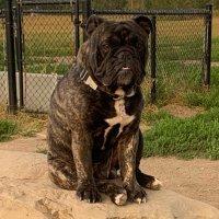 Handsome Bubba (@handsome_bubba) 's Twitter Profile