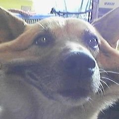 弥水さんのプロフィール画像