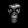 Doug_Doug75's profile picture. 