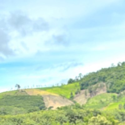 ppppun28's profile picture. 