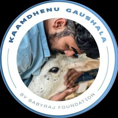 यहां रोड़ साइड छोड़ दी हुई गौ माता और नंदी महाराज
की सेवा की जाती है 🚩
Kaamdhenu gaushala Rajasamand
