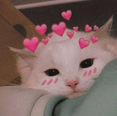 I'm Camila Cheshire⚡🌼, a gaming enthusiast who loves playing all kinds of games🎮❤️. When I'm not gaming, you can find me designing stuff for streamers.