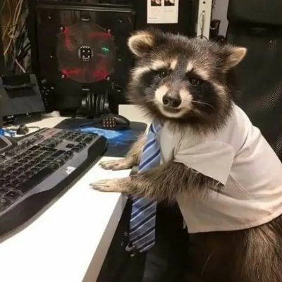 Jzak03's profile picture. Jzack03 🦝 | Software Engineering student & freelance dev. Building web/mobile tech, exploring OS challenges. Expect lofi-fueled insights & projects. (Yes, I lo