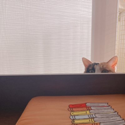 gimpurple's profile picture. 뜨개인간 / 리트윗 많음이 / 캣펄슨 / 있잘쓰-노트노트