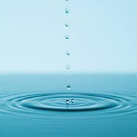 Alan Gillanders (@31bigal) 's Twitter Profile