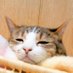 ちぃちゃん😺さん (@efu7ji3b42842) Twitter profile photo ちぃちゃん😺さん (@efu7ji3b42842) Twitter profile photo