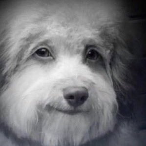 Dragolii's profile picture. Bread taste better than key.
I test For. Saken!