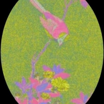 lu_ci_Fer_wei's profile picture. 