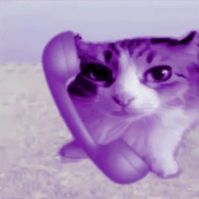 loveesized's profile picture. living in the space between almosts
