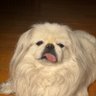 aiwata55's profile picture. 親から受け継いだ会社をどうにか経営してます。政治、社会関係の発言多めかも。愛国者のつもり。自民党支持ではあるが、是々非々で個人的意見を述べます。多分、結構理屈っぽく人の情けに欠ける。暴力的な発言には大反対。ゲスな笑い結構好き。宗教やってます。