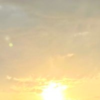 More@取引用 (@more_m_tr) 's Twitter Profile