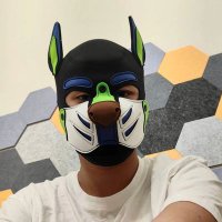 犬彥 (@pup_inuhiko) 's Twitter Profile