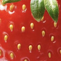 🍓( slow reply ) (@takecarebyme) 's Twitter Profile
