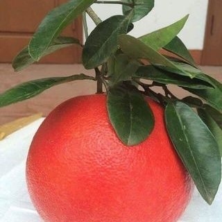 trongnghiaej366's profile picture. Chào mọi người, mình là người đam mê thể thao và thích chia sẻ những điều thú vị xung quanh cuộc sống hằng ngày. Hãy cùng nhau kết nối và trò chuyện nhé!