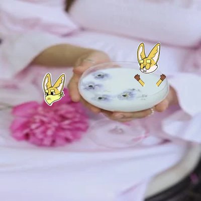 3zbs41464zj9's profile picture. Sahara #0112209  Fashion model | Walking the fashion world 