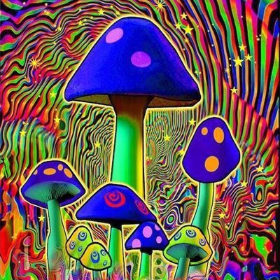 Looking for new friends for friendly honest chat and to have some laughs along the way.
Scammers not welcome, but challenge accepted if you want to play games.