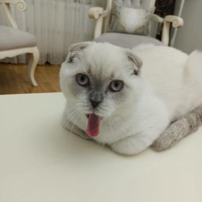 Vettech_55's profile picture. Atatürk Üniversitesi Lababorant ve Veteriner Sağlık