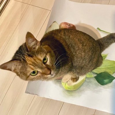 nihonga_no_e's profile picture. 2025年3月〜🍵日本画科昼間部 日比谷高→慶應大（商）→社会人→東京藝大志望（2026年初受験予定） お見せするのも恥ずかしい絵をお見せします ざまみろ