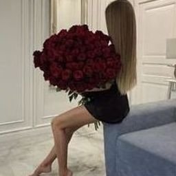 Paqeer291's profile picture. 