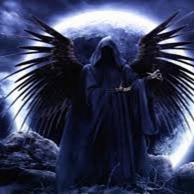 FANCYSHADO3566's profile picture. 