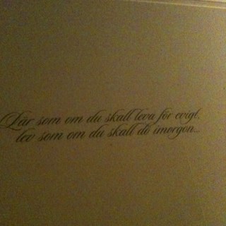 KimSundlov's profile picture. 